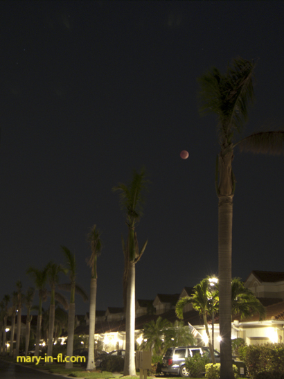 Lunar eclipse 11-08-2022