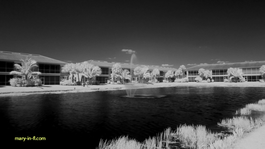 with an infrared filter 04-28-2018